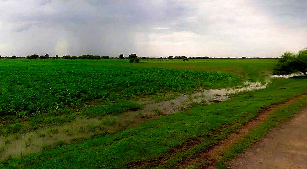 Barsana, Uttar Pradesh 281405, India