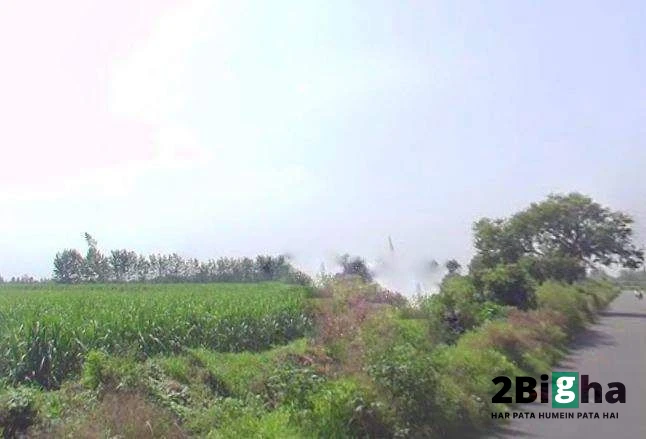 Moradabad, Tajpur Mafi, Uttar Pradesh 244104, India