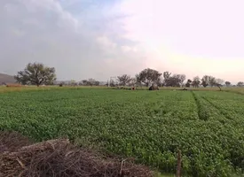Pali, Rajasthan 301001, India preview 2