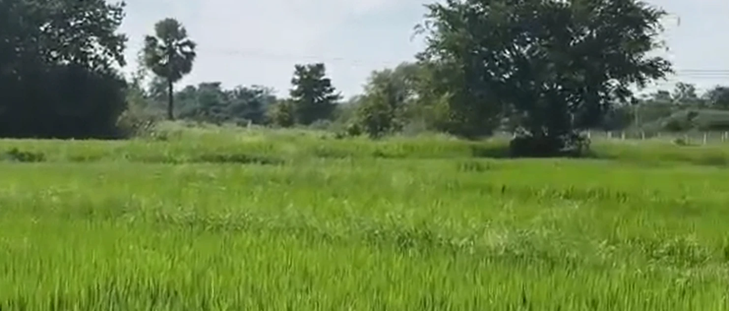 H77M+W9 Kummera, Nagarkurnool, Telangana, India
