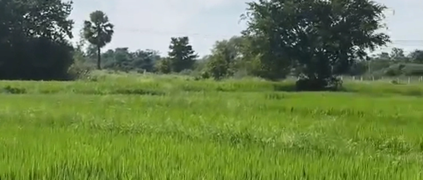 H77M+W9 Kummera, Nagarkurnool, Telangana, India