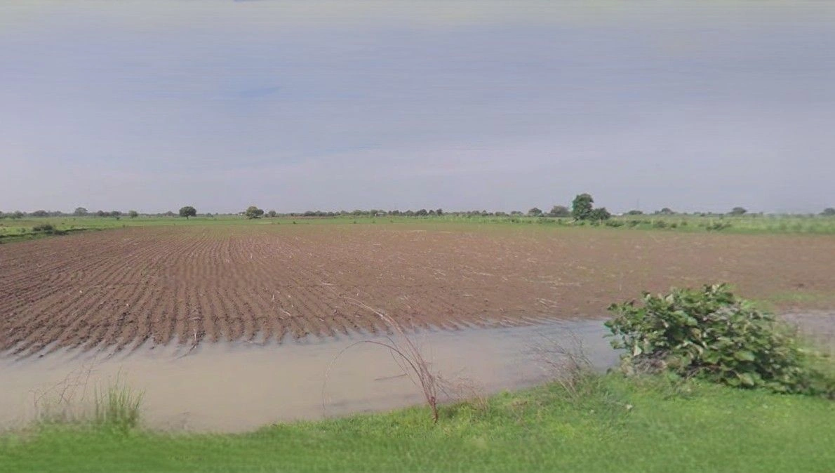 Barnagar, Madhya Pradesh 456771, India preview 2