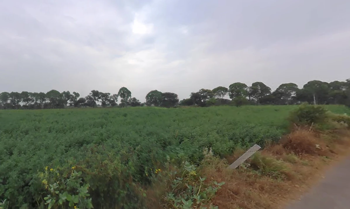 Siwani, Haryana 127046, India