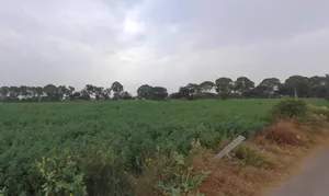 Siwani, Haryana 127046, India preview 3