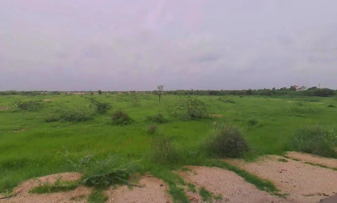 Somesar, Rajasthan 306503, India