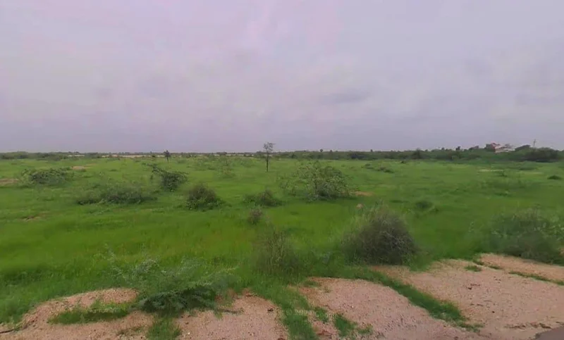 Somesar, Rajasthan 306503, India preview 2