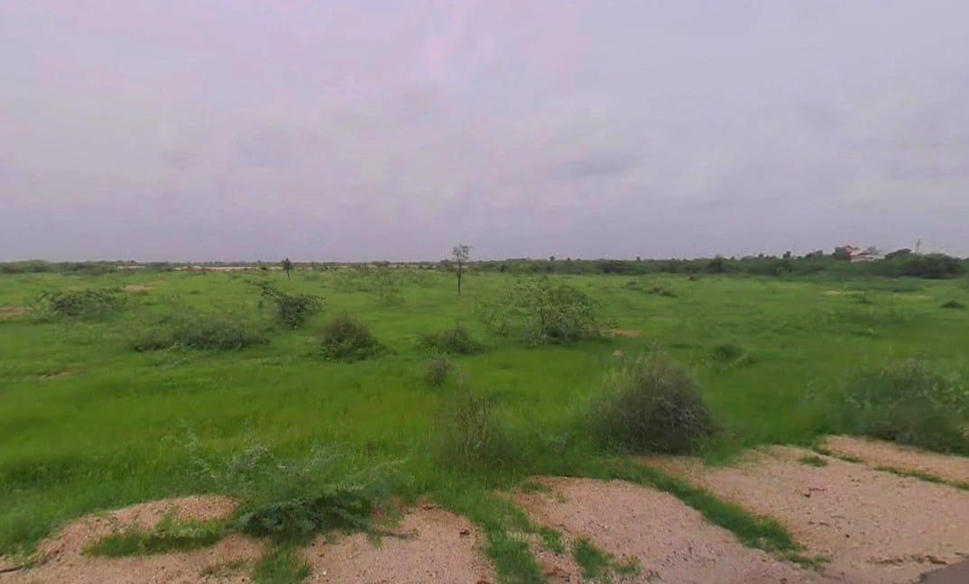 Somesar, Rajasthan 306503, India