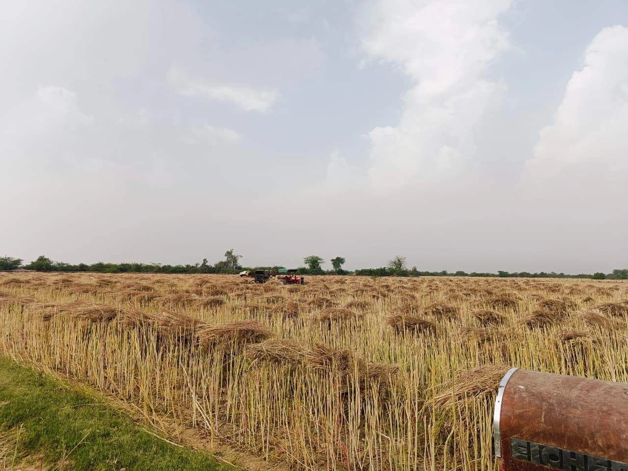 Gharwari, Rajasthan 321201, India