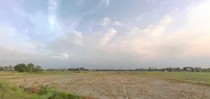 Mohanpur, Bihar 848103, India preview 3