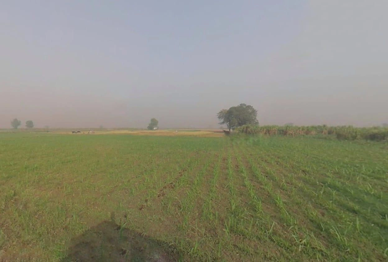 QHWV+6X Jahangirpur, Uttar Pradesh, India