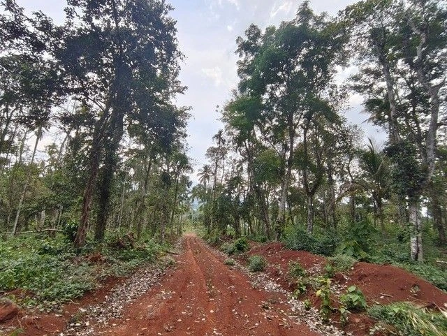 M3HH+2J4, Kambalakkad, Kerala 673124, India