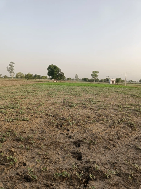 J2PW+CXR, Bibiganj, Danapur Nizamat, Danapur, Patna, Bihar 801503, India