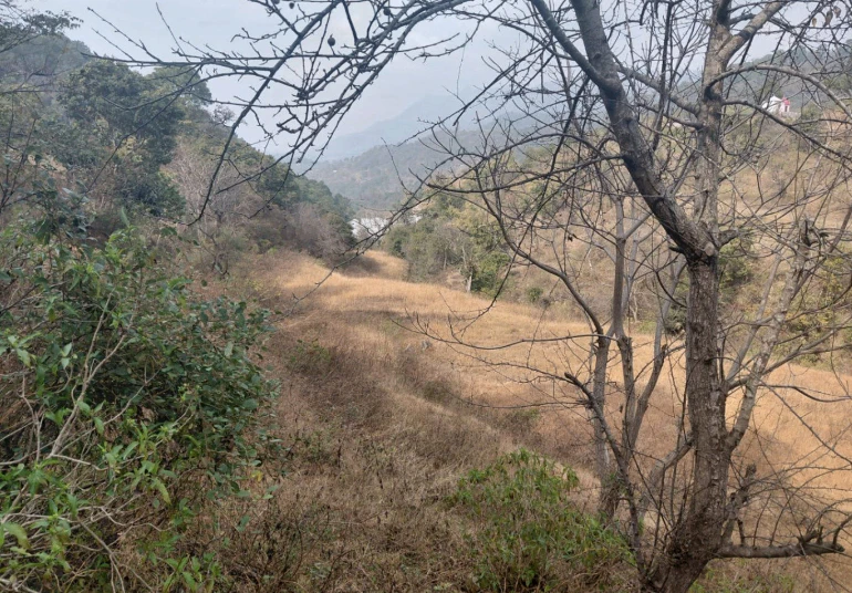 Pinjore, Haryana 134102, India