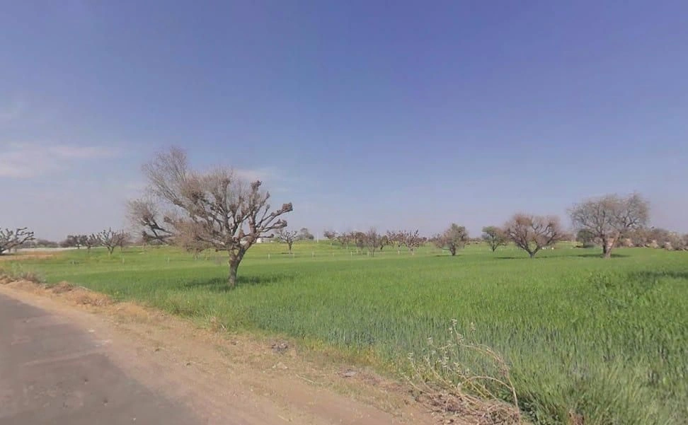 Aloda, Rajasthan 332602, India