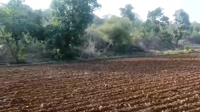 XJCV+JR Marhpura, Kannauj, Uttar Pradesh, India preview 3