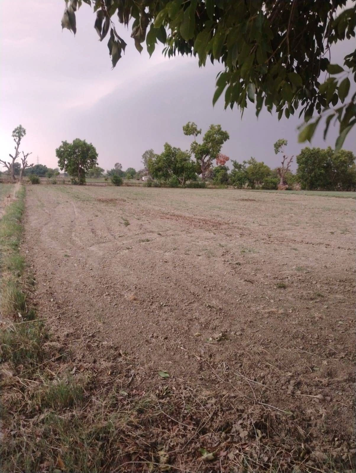 Gauhari, Uttar Pradesh 281401, India