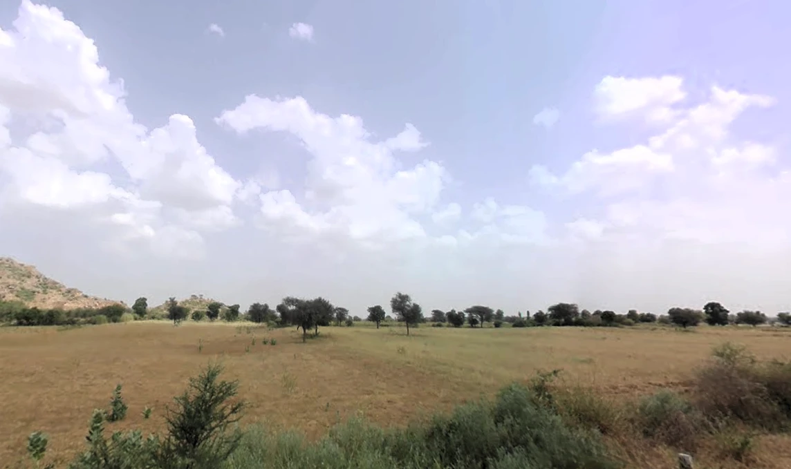 Dadam, Haryana 127040, India