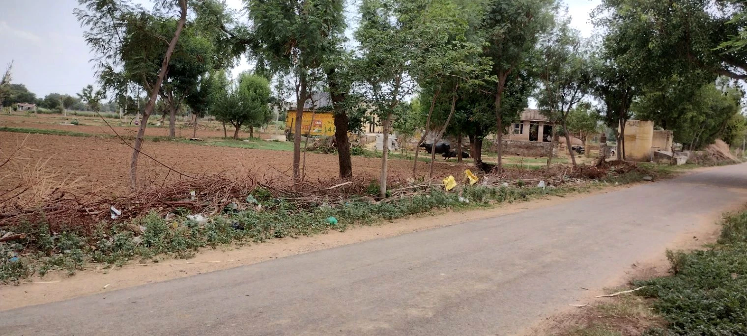 Bai Ka Bas, Rajasthan 301001, India