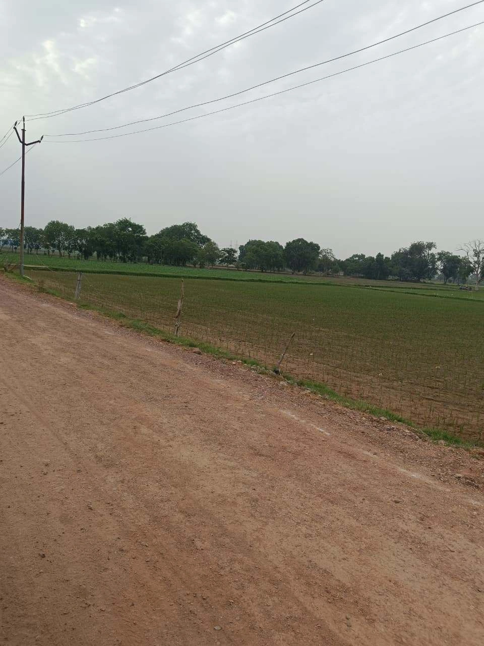 Adampur, Uttar Pradesh, India