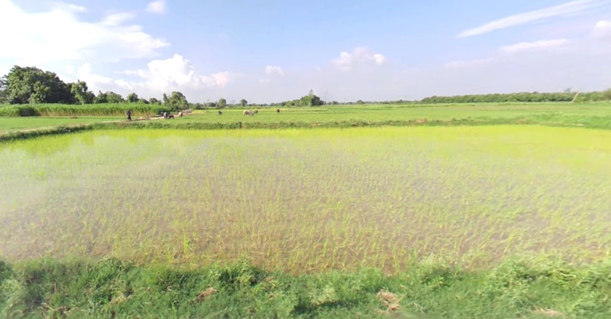 Barkheda Salam, Madhya Pradesh 462030, India