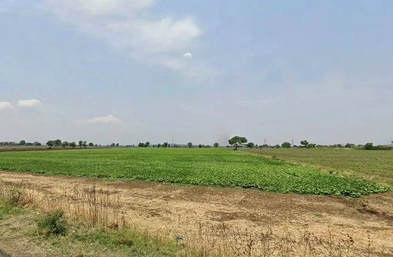 7RJP+56 Jaithal, Madhya Pradesh, India preview 3