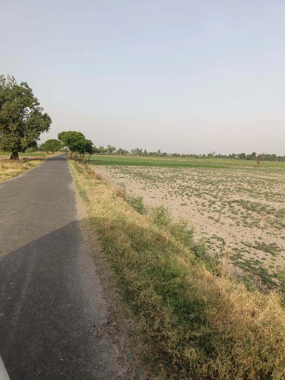 Tentigaon, Uttar Pradesh, India