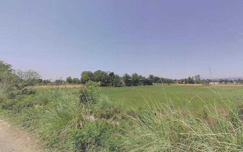 Raison, Himachal Pradesh 175128, India preview 2