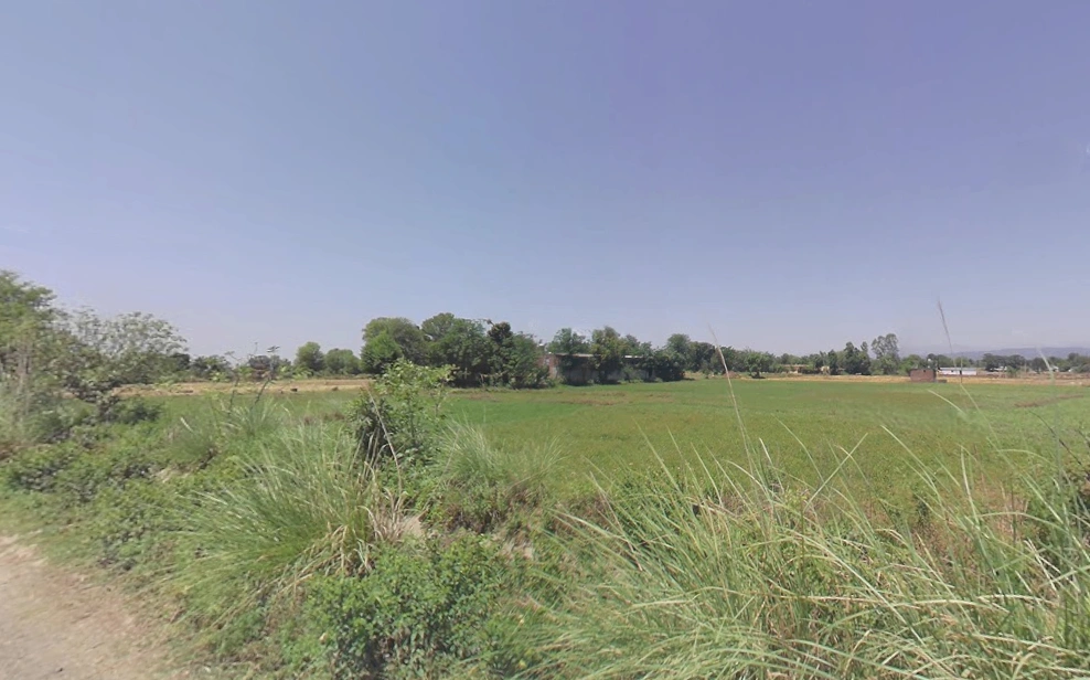 Raison, Himachal Pradesh 175128, India