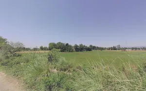 Raison, Himachal Pradesh 175128, India preview 2