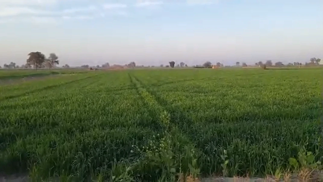 4GJ5+JRH, Vikarabad, Rudraram, Telangana 509336, India