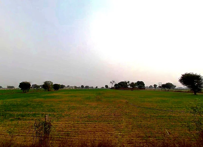 WGXQ+P34, Pachar, Rajasthan 303706, India preview 2