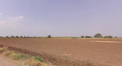 Khakhariya, Gujarat, India preview 2