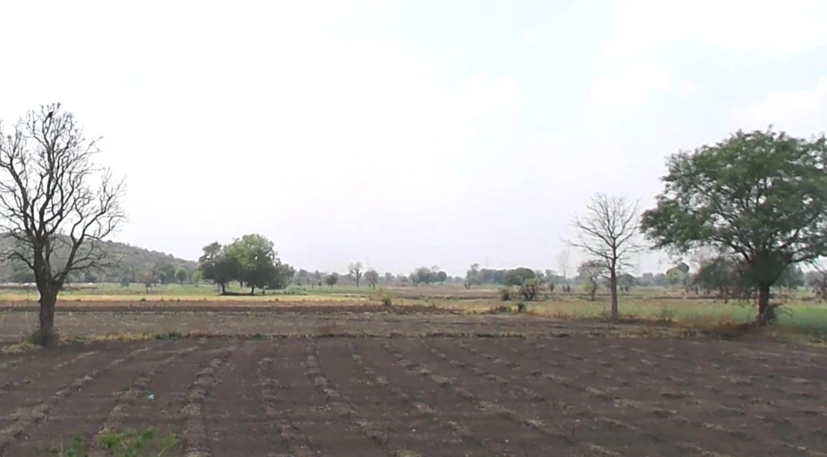 Kanadiya, Madhya Pradesh 452016, India