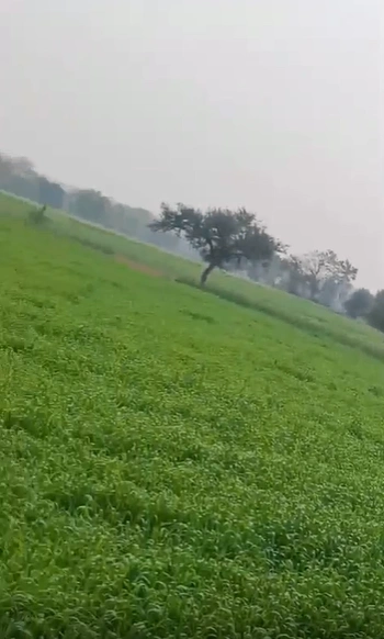 Dharampuri, Indore, Solsinda, Madhya Pradesh, India