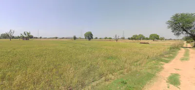 Mei, Rajasthan, India preview 2