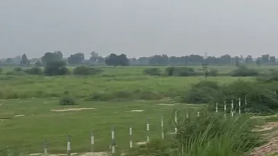 Chhibramau, Kannauj, Uttar Pradesh 209721, India preview 2