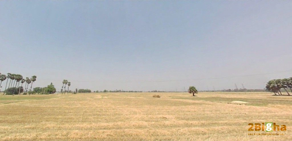 Bikram - Bihta Rd, Dayalpur Daulatpur, Bihar, India