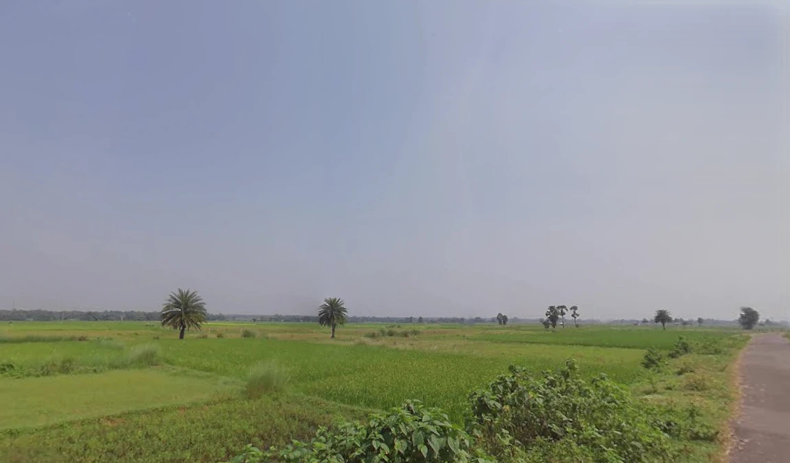 Siliguri, West Bengal, India