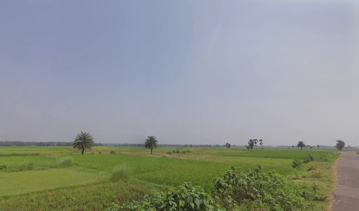 Siliguri, West Bengal, India