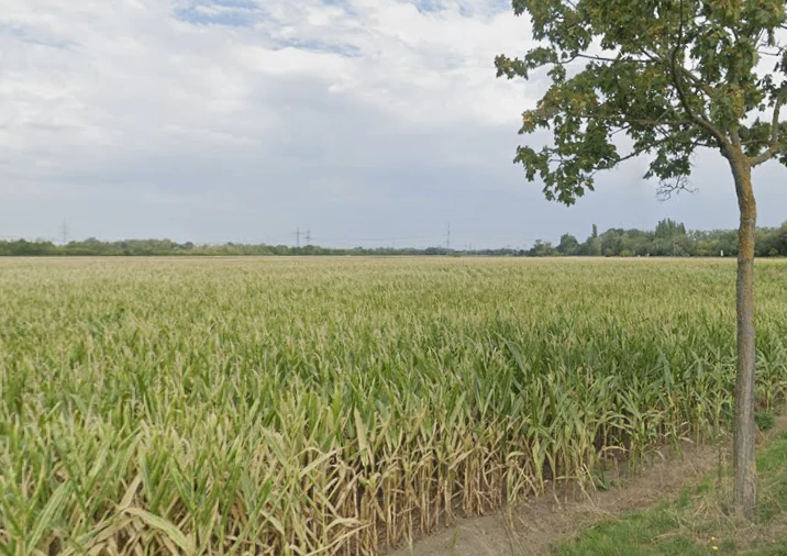 J8CC+JW6, Baudey, Punjab 142039, India