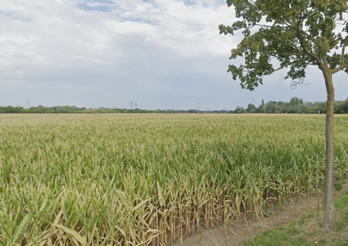 J8CC+JW6, Baudey, Punjab 142039, India preview 2