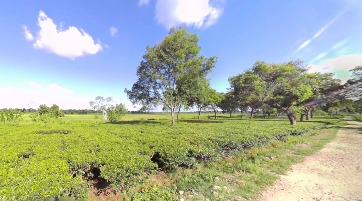 Ambari, West Bengal 735135, India