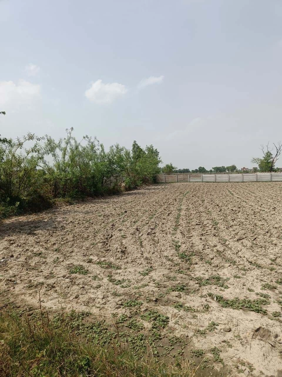 Gauhari, Uttar Pradesh 281401, India