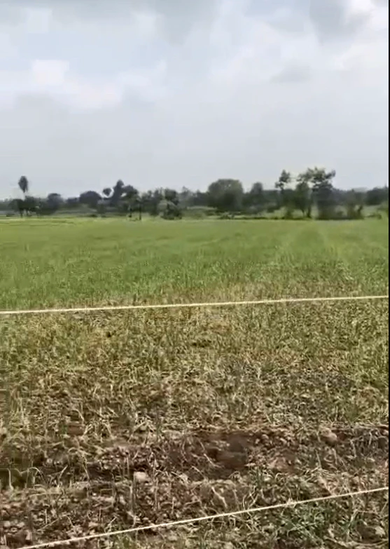 544F+XVC, Mandsaur, Sindwan, Madhya Pradesh, India