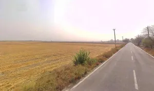 Goriwala, Haryana 125103, India preview 3