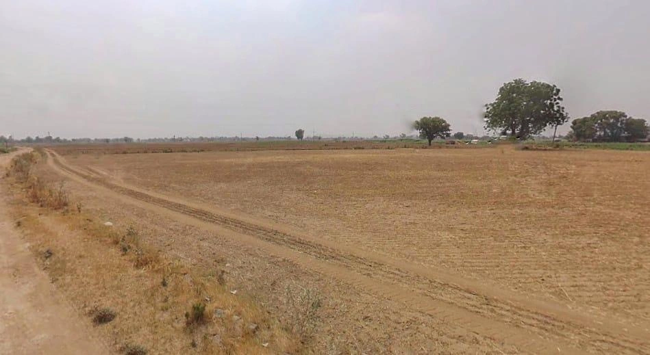 Dhahlavas, Rajasthan 301001, India