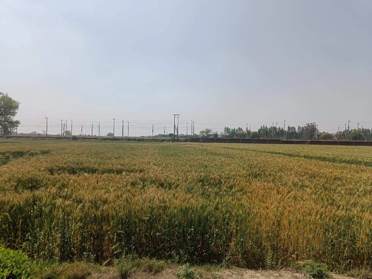 Narayanpur, Rajasthan 301024, India