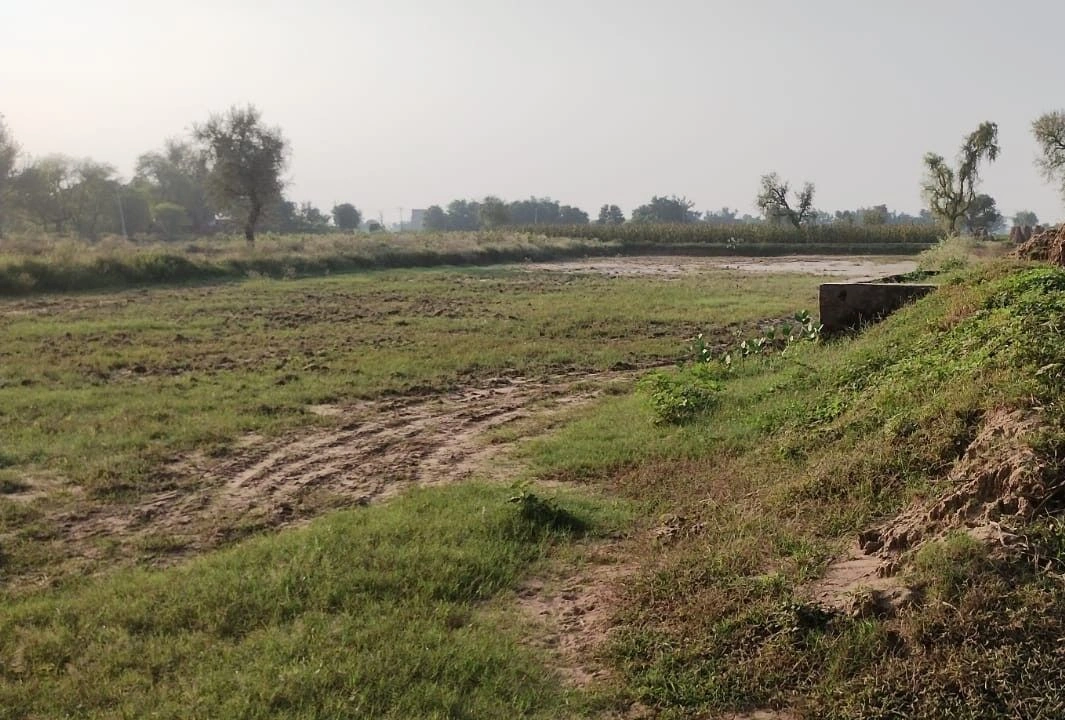 Moliya, Rajasthan 301021, India