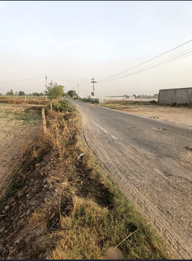Ellenabad, Haryana 125102, India