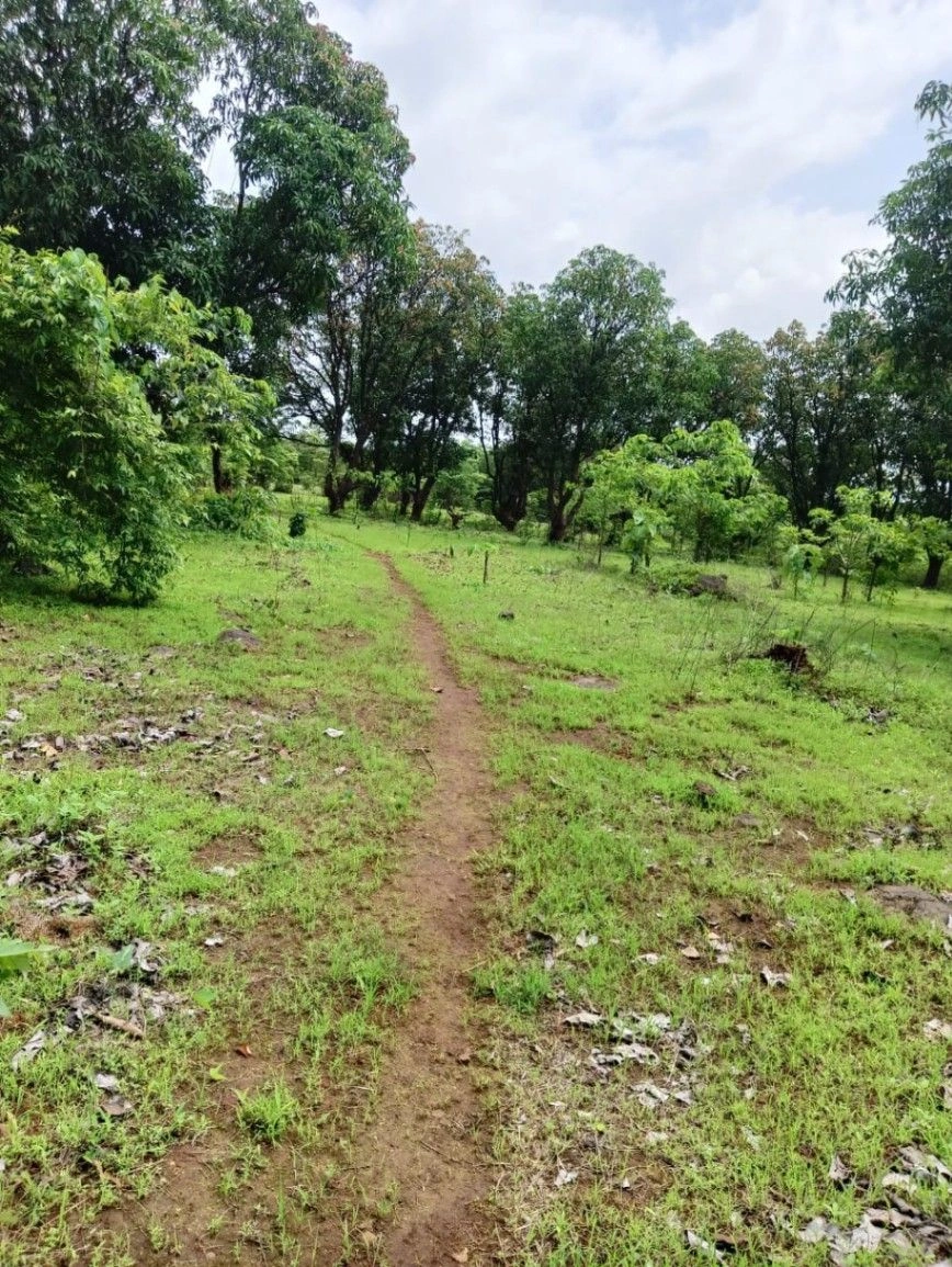 Jamli, Khargone, Madhya Pradesh, India - Photo 2